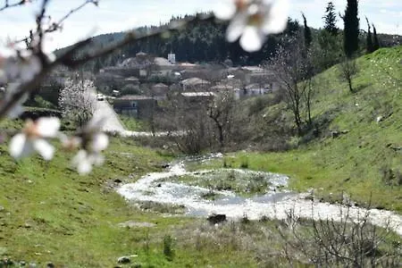 Oasis Of Calmnessε *