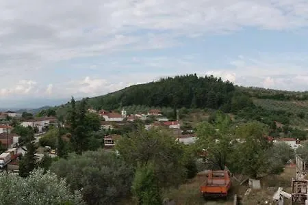 Oasis Of Calmnessε Ardani