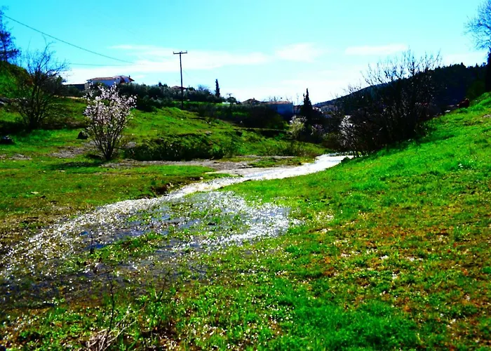 Oasis Of Calmnessε Case de vacanță *